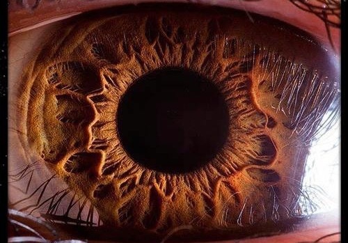 Extreme Close-Ups of the Human Eye